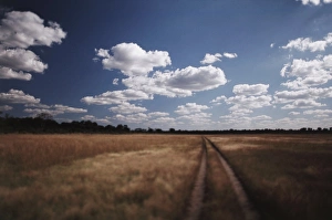 Perspective Prints: Zimbabwe, View of road near Linkwasha Airstrip