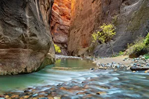 Zion Canyon The Narrows, Zion National Park, Utah