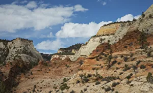Images Dated 11th January 2021: Zion National Park