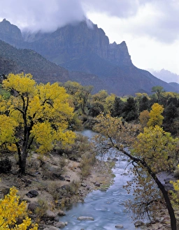Images Dated 3rd April 2012: Zion National Park, Utah. USA. Autumn rain falls on The Watchman & the Virgin River