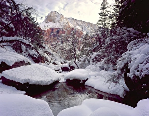 Colorado Plateau Prints: Zion National Park, Utah. USA. Deep snow at Middle Emerald Pools. Zion Canyon