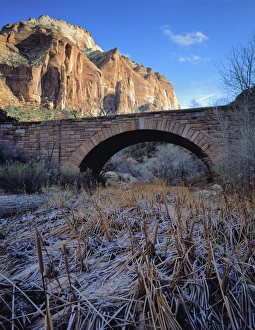 Powerful Prints: Zion National Park, Utah. USA. East Temple rises above frosted cattails & bridge over Pine Creek