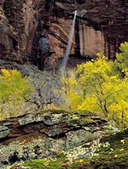 Images Dated 3rd April 2012: Zion National Park, Utah. USA. Ephemeral waterfall pours over cliff at Weeping Rock