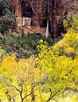 Images Dated 3rd April 2012: Zion National Park, Utah. USA. Ephemeral waterfall pours out of slot in cliff during