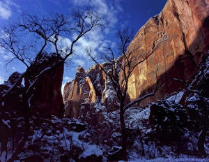 Powerful Prints: Zion National Park, Utah. USA. Morning light on cliffs at Temple of Siniwava in winter
