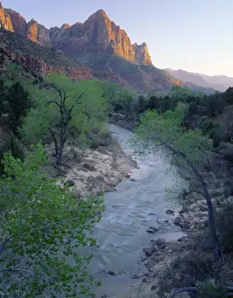 Zion Prints: ZION NATIONAL PARK, UTAH. USA. The Watchman at sunset above Virgin River in spring