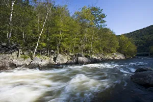 Images Dated 16th September 2006: Zoar Rapid on the Deerfield River in Charlemont, Massachusetts