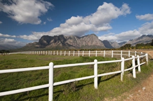 Wine Estate Prints: Zorgvliet Wine Estate, Stellenbosch, Cape Town, South Africa